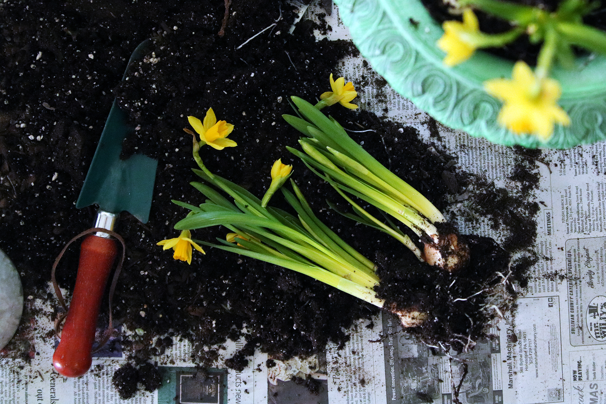 The Farmhouse Project: How to style your spring tablescape inspired by the garden.